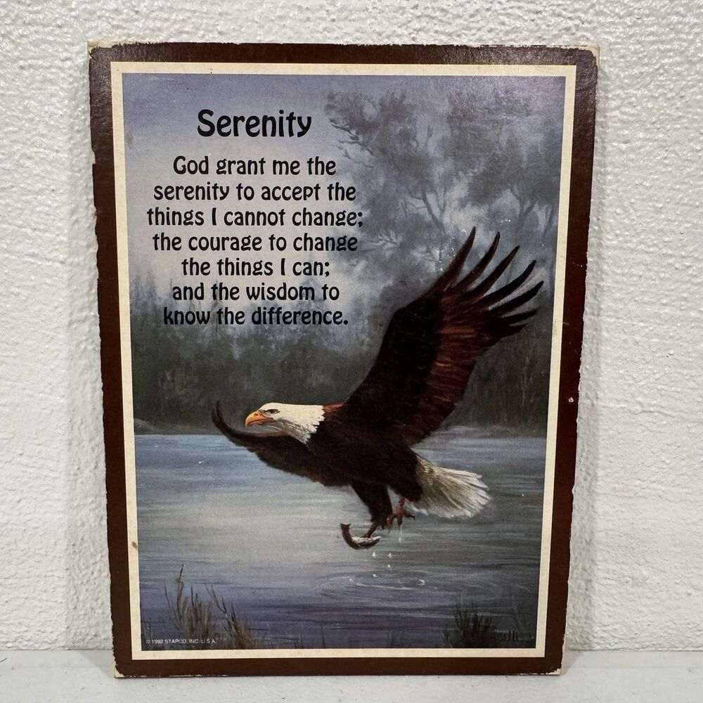 Vintage 1982 Serenity Prayer Bald Eagle Framed Wall Art Print STAPCO